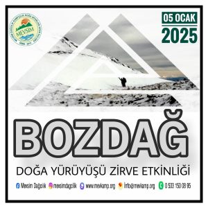 bozdag