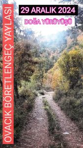 ovacık-böretlengec-yaylası